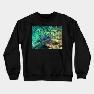 Purple Nudibranch Crewneck Sweatshirt